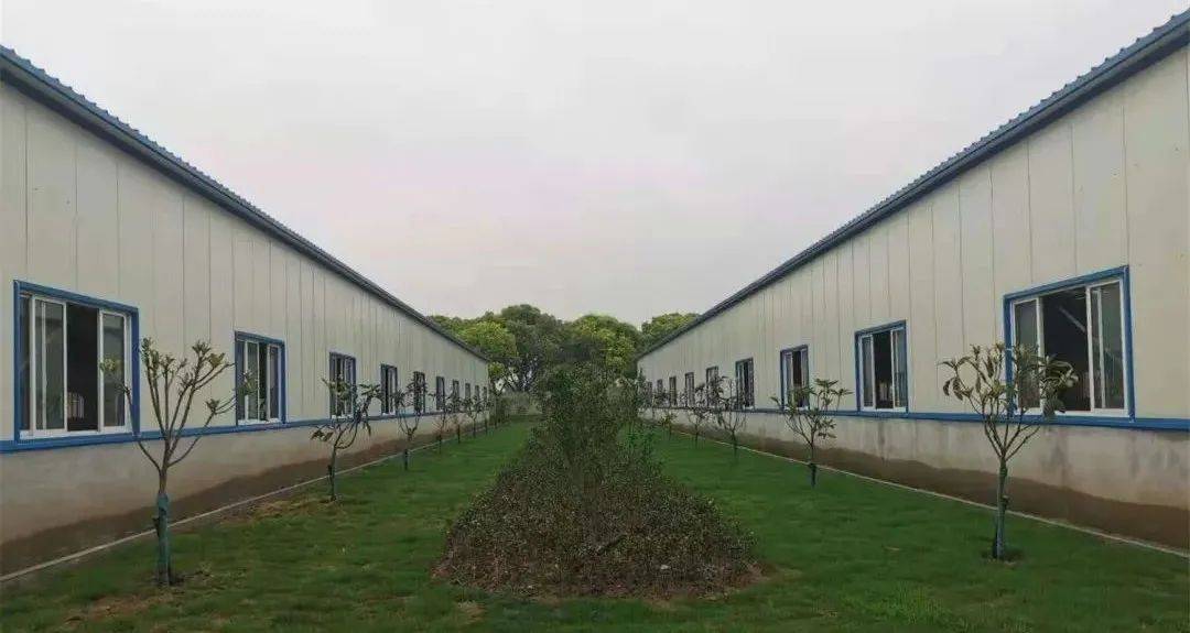 夫妻工最新招聘信息，携手共创美好未来之旅