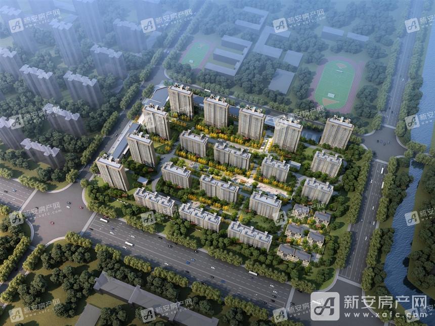 安徽楼市最新动态概览