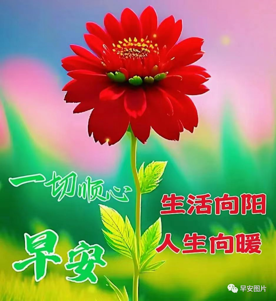 体育 第51页