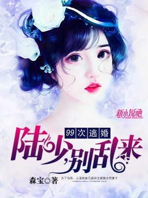 谭惜陆离最新章节揭秘，小巷中的隐秘美食之旅