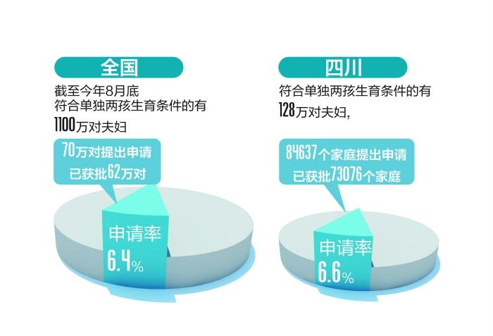 山东单独二胎最新动态，申请与实施的详细步骤指南