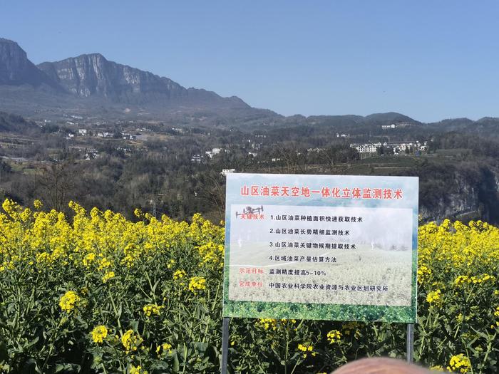知识 第17页