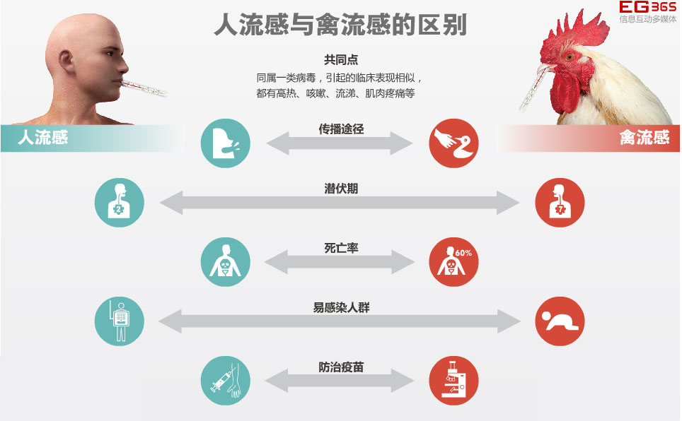 体育 第14页