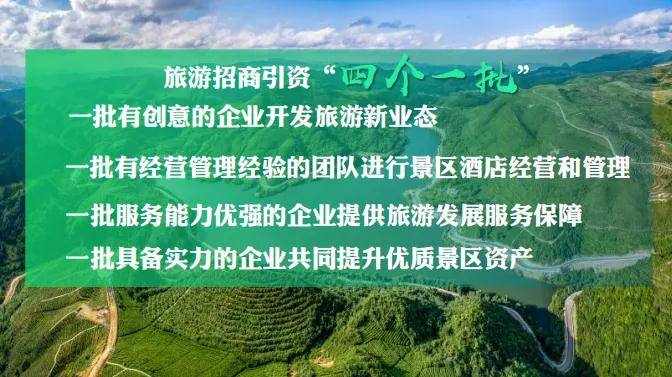 夜狼直播最新二维码，自然美景探索之旅开启