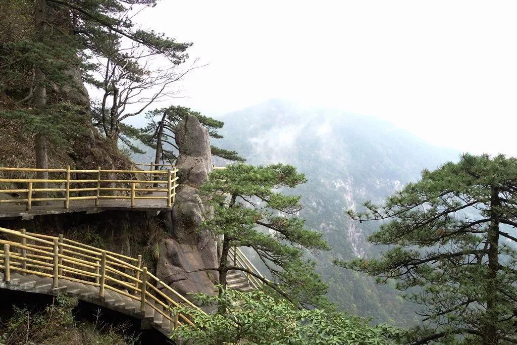 江西最新4A景区名单统计，你打卡了多少个？